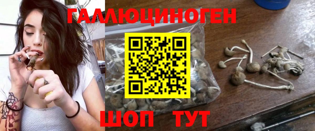 Галлюциногенные грибы Cubensis  Вход с VPN  Псилоцибиновые грибы прущие грибы  Лесной 